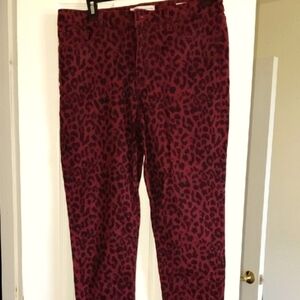 Stylish Leopard Print  Pants